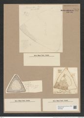 Triceratium giganteum Grev. (de-Toni-Nr.: Genus 140, Species 3762) Zeichnungen Sammlung Grunow Nr. 7279 (NHMW-BOT-W0376296)